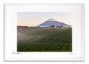 最大100%ポイントバック!限定抽選 版画 絵画 朝霧の茶畑富士 富士山 インテリア 額入り 額装込 風景画 油絵 ポスター アート アートパネル リビング 玄...