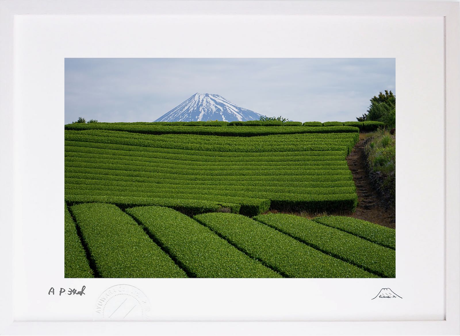 【スーパーSALE半額】版画 絵画 茶畑富士 富士山 インテリア 額入り 額装込 風景画 油絵 ポスター アート アートパネル リビング 玄関 プレゼント モダ...