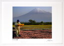 版画 絵画 桜エビ富士 インテリア 額入り 富士山 額装込 風景画 油絵 ポスター アート アートパネル リビング 玄関 プレゼント モダン アートフレーム 飾る おしゃれ 壁掛け 絵