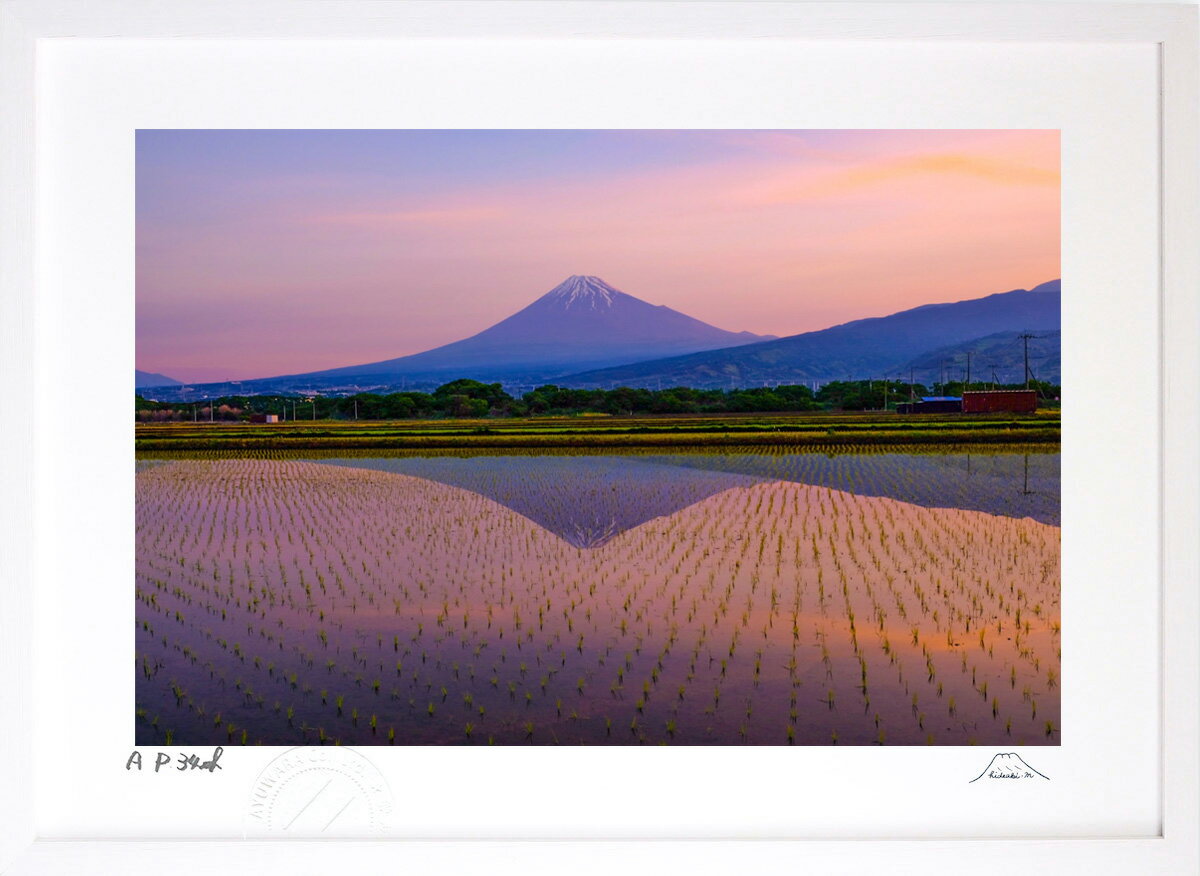 版画 絵画 水田リフレ インテリア 額入り 富士山 額装込 風景画 油絵 ポスター アート アートパネル リビング 玄関 プレゼント モダン アートフレーム 飾る Mサイズ おしゃれ 壁掛け 絵