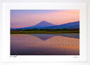 最大100%ポイントバック!限定抽選 版画 絵画 水田リフレ インテリア 額入り 富士山 額装込 風景画 油絵 ポスター アート アートパネル リビング 玄関 ...