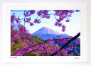 版画 絵画 梅の額縁 インテリア 額入り 富士山 額装込 風景画 油絵 ポスター アート アートパネル リビング 玄関 プレゼント モダン アートフレーム 飾る...