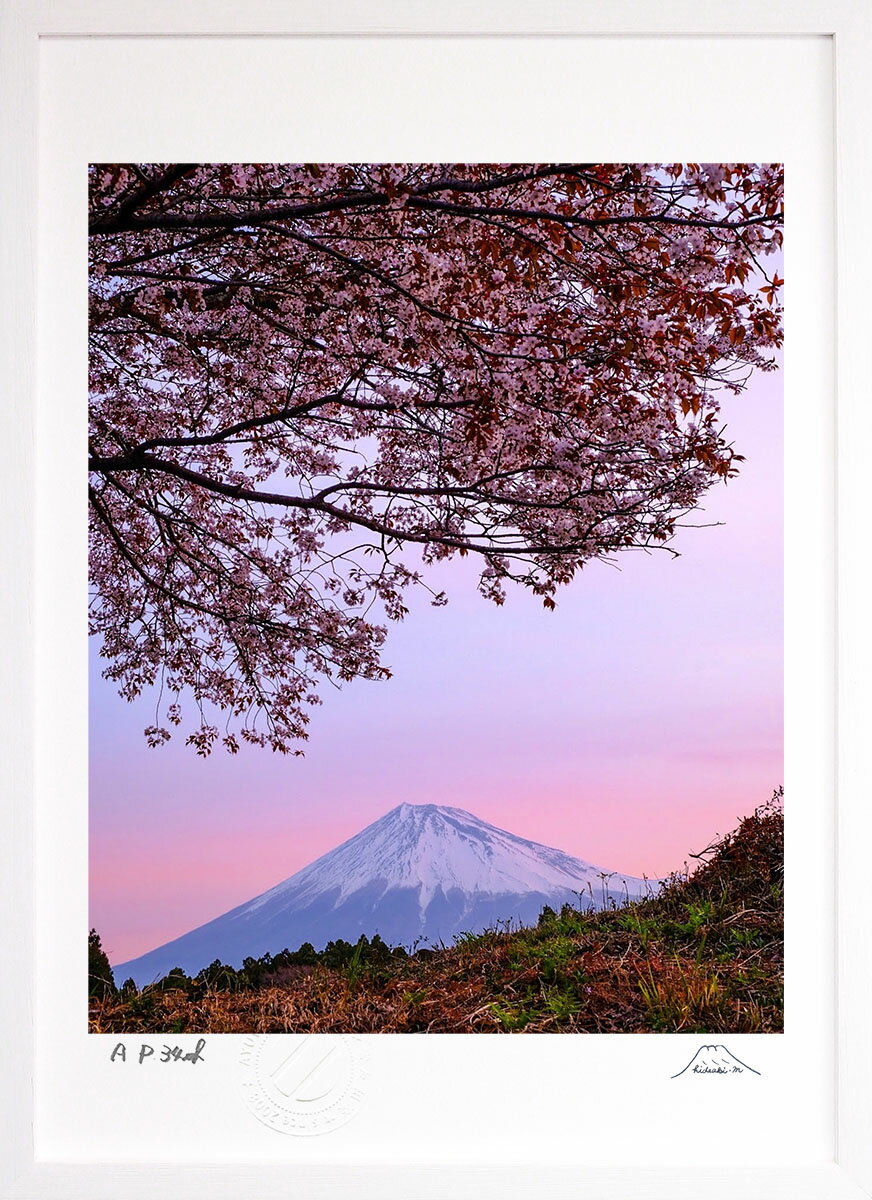 版画 絵画 一本桜と春 インテリア 額入り 富士山 額装込 風景画 油絵 ポスター アート アートパネル リビング 玄関 プレゼント モダン アートフレーム 飾る Mサイズ おしゃれ 壁掛け 絵