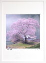 最大100%ポイントバック!限定抽選 版画 絵画 年代の水目桜 インテリア 額入り 富士山 額装込 風景画 油絵 ポスター アート アートパネル リビング 玄関...