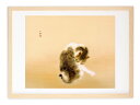 版画 絵画 名画 日本画 班猫 (はんびょう) 竹内栖鳳 インテリア 壁掛け 額入り アート アートパネル モダン アートフレーム おしゃれ
