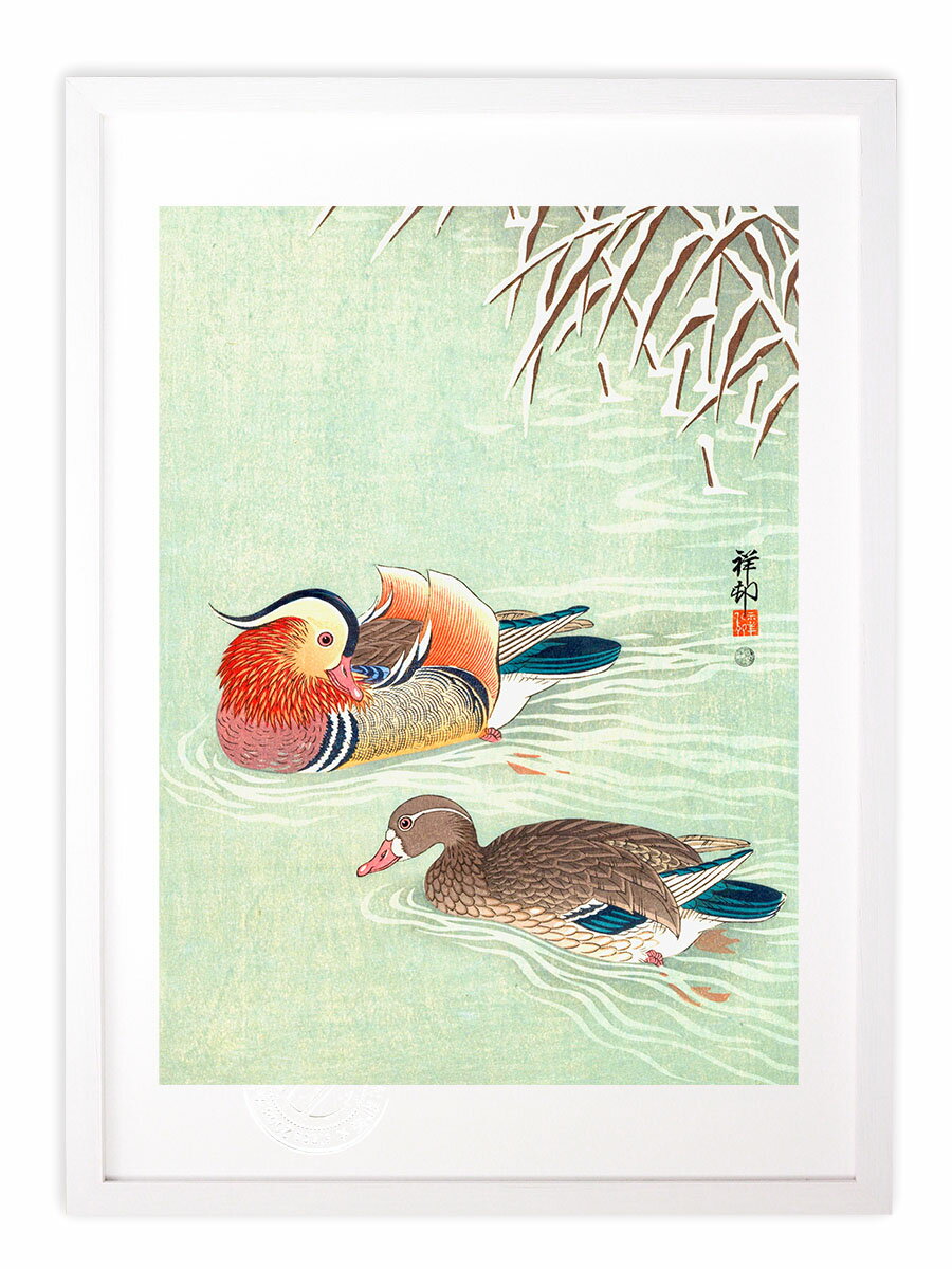 版画 絵画 名画 日本画 雪中の鴛鴦 (おしどり) 鴛二羽 小原古邨 インテリア 壁掛け 額入り アート アートパネル モダン アートフレーム おしゃれ
