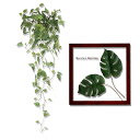 送料無料「壁掛け入門セット」(リーフパネル×1枚・壁掛けフィロ×1個・Jフック×1セット・細釘×2本)/新築祝い オススメ フェイクグリーン オールインワン 満...