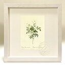 最大100%ポイントバック!限定抽選 版画 絵画 ロサ・インディカ・アクミナータ ルドゥーテ ボタニカル 薔薇 バラ インテリア 額入り 額装込 風景画 油絵 ...