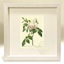 最大100%ポイントバック!限定抽選 版画 絵画 ロサ・インディカ・フラグランス ルドゥーテ ボタニカル 薔薇 バラ インテリア 額入り 額装込 風景画 油絵 ...