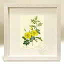 最大100%ポイントバック!限定抽選 版画 絵画 ロサ・エグランテリア ルドゥーテ ボタニカル 薔薇 バラ インテリア 額入り 額装込 風景画 油絵 ポスター ...