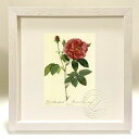 最大100%ポイントバック!限定抽選 版画 絵画 ロサ・ガリカ・オフィキナーリス ルドゥーテ ボタニカル 薔薇 バラ インテリア 額入り 額装込 風景画 油絵 ...