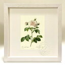 最大100%ポイントバック!限定抽選 版画 絵画 ロサ・アルバ・レガリス ルドゥーテ ボタニカル 薔薇 バラ インテリア 額入り 額装込 風景画 油絵 ポスター...