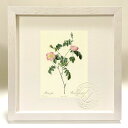 最大100%ポイントバック!限定抽選 版画 絵画 ロサ・フォエティダ ルドゥーテ ボタニカル 薔薇 バラ インテリア 額入り 額装込 風景画 油絵 ポスター ア...