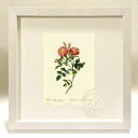最大100%ポイントバック!限定抽選 版画 絵画 ロサ・ルビギノーサ・ザベト ルドゥーテ ボタニカル 薔薇 バラ インテリア 額入り 額装込 風景画 油絵 ポス...