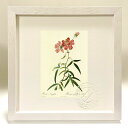 最大100%ポイントバック!限定抽選 版画 絵画 ロサ・ロンギフォリア ルドゥーテ ボタニカル 薔薇 バラ インテリア 額入り 額装込 風景画 油絵 ポスター ...