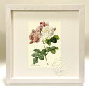 最大100%ポイントバック!限定抽選 版画 絵画 ロサ・ダマスケナ ルドゥーテ ボタニカル 薔薇 バラ インテリア 額入り 額装込 風景画 油絵 ポスター アー...