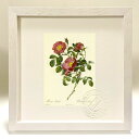 最大100%ポイントバック!限定抽選 版画 絵画 ロサ・プミラ ルドゥーテ ボタニカル 薔薇 バラ インテリア 額入り 額装込 風景画 油絵 ポスター アート ...