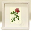 版画 絵画 ロサ・ムルティフローラ・プラティフィラ ルドゥーテ ボタニカル 薔薇 バラ インテリア 額入り 額装込 風景画 油絵 ポスター アート アートパネル...