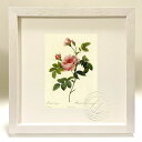 最大100%ポイントバック!限定抽選 版画 絵画 ロサ・イネルミス ルドゥーテ ボタニカル 薔薇 バラ インテリア 額入り 額装込 風景画 油絵 ポスター アー...
