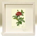 最大100%ポイントバック!限定抽選 版画 絵画 ロサ・ガリカ・ポンティアーナ ルドゥーテ ボタニカル 薔薇 バラ インテリア 額入り 額装込 風景画 油絵 ポ...