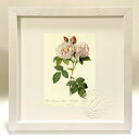最大100%ポイントバック!限定抽選 版画 絵画 ロサ・ダマスケナ・イタリカ ルドゥーテ ボタニカル 薔薇 バラ インテリア 額入り 額装込 風景画 油絵 ポス...