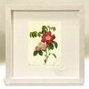 版画 絵画 ロサ・ガリカ・ロセア・フローレ・シンプリキ ルドゥーテ ボタニカル 薔薇 バラ インテリア 額入り 額装込 風景画 油絵 ポスター アート アートパ...