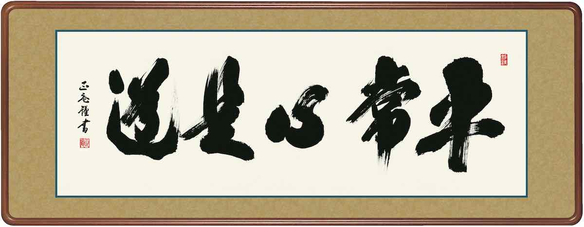 10年保証仏書扁額 禅語 平常心是道(へいじょうしんこれどう)黒田 正庵 おしゃれ 壁掛け 絵