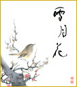 最大100%ポイントバック!限定抽選 色紙 色紙掛けなし 色紙絵 和風 紅白梅 恵風 モダン 掛軸 床の間 和室 おしゃれ 壁掛け 絵
