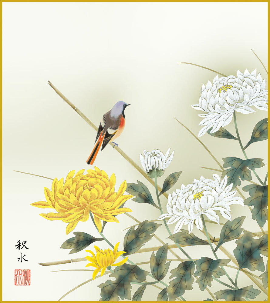 色紙 色紙掛けなし 色紙絵 和風 菊花 浮田秋水 モダン 掛軸 床の間 和室 おしゃれ 壁掛け 絵