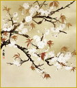【スーパーSALE10%OFF】色紙 色紙掛けなし 色紙絵 和風 桜 横山大観 モダン 掛軸 床の間 和室 おしゃれ 壁掛け 絵