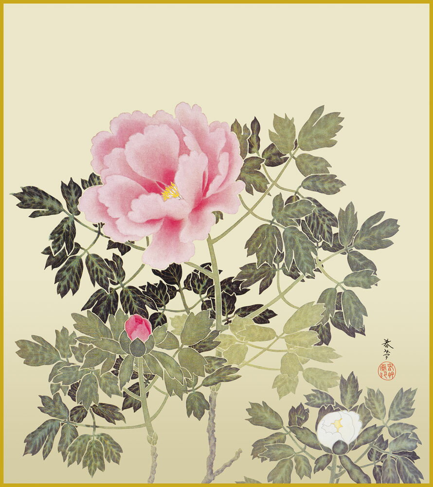 色紙 色紙掛けなし 色紙絵 和風 牡丹 菱田春草 モダン 掛軸 床の間 和室 おしゃれ 壁掛け 絵