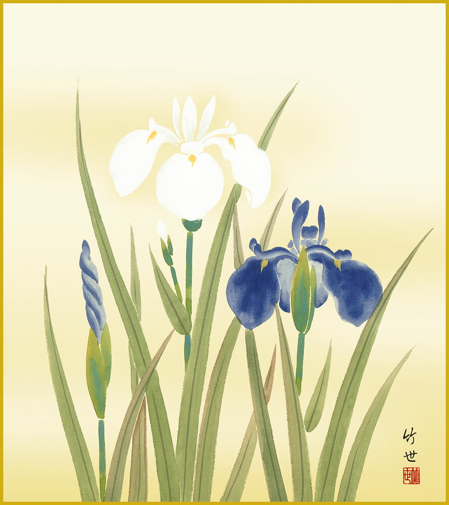 色紙 色紙掛けなし 色紙絵 和風 菖蒲 モダン 掛軸 床の間 和室 おしゃれ 壁掛け 絵