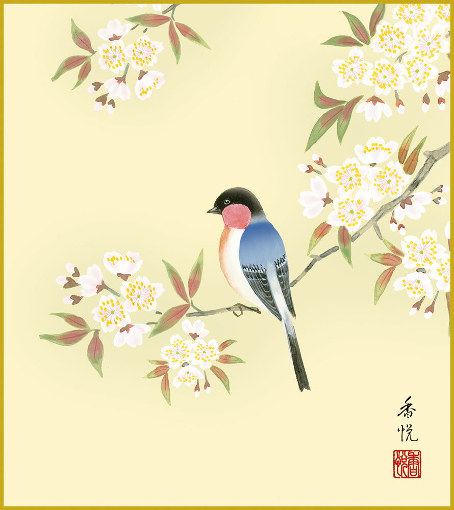 【スーパーSALE10%OFF】色紙 色紙掛けなし 色紙絵 和風 桜に瑠璃鳥 モダン 掛軸 床の間 和室 おしゃれ 壁掛け 絵