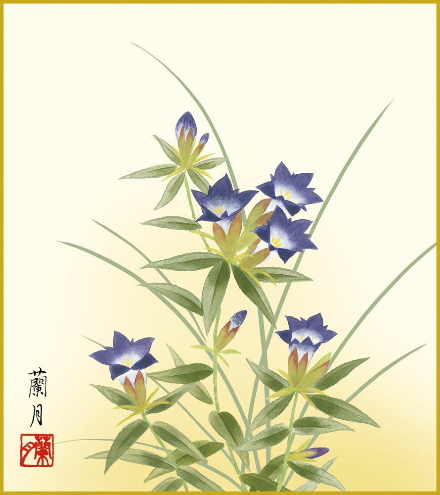 色紙 色紙掛けなし 色紙絵 和風 桔梗 モダン 掛軸 床の間 和室 おしゃれ 壁掛け 絵