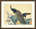 最大100%ポイントバック!限定抽選 10年保証 名画 油絵 牡丹孔雀図 円山応挙 手彩仕上 高精細巧芸画/インテリア 額入り 額装込 アート リビング プレゼ...