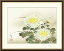 10年保証 名画 油絵 菊花 森山観月 手彩仕上 高精細巧芸画/インテリア 額入り 額装込 アート リビング プレゼント アートフレーム 飾る グッズ ギフト おしゃれ 壁掛け 絵