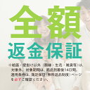 絵てぬぐい 絵画 不動明王メール便 /手ぬぐい 手拭い タオル 歌舞伎 インテリア はんかち 伝統工芸 飾る 高級 外国人 海外 ギフト プレゼント 祭り はちまき アート 日用品 和雑貨 3Lサイズ おしゃれ 壁掛け 絵 3