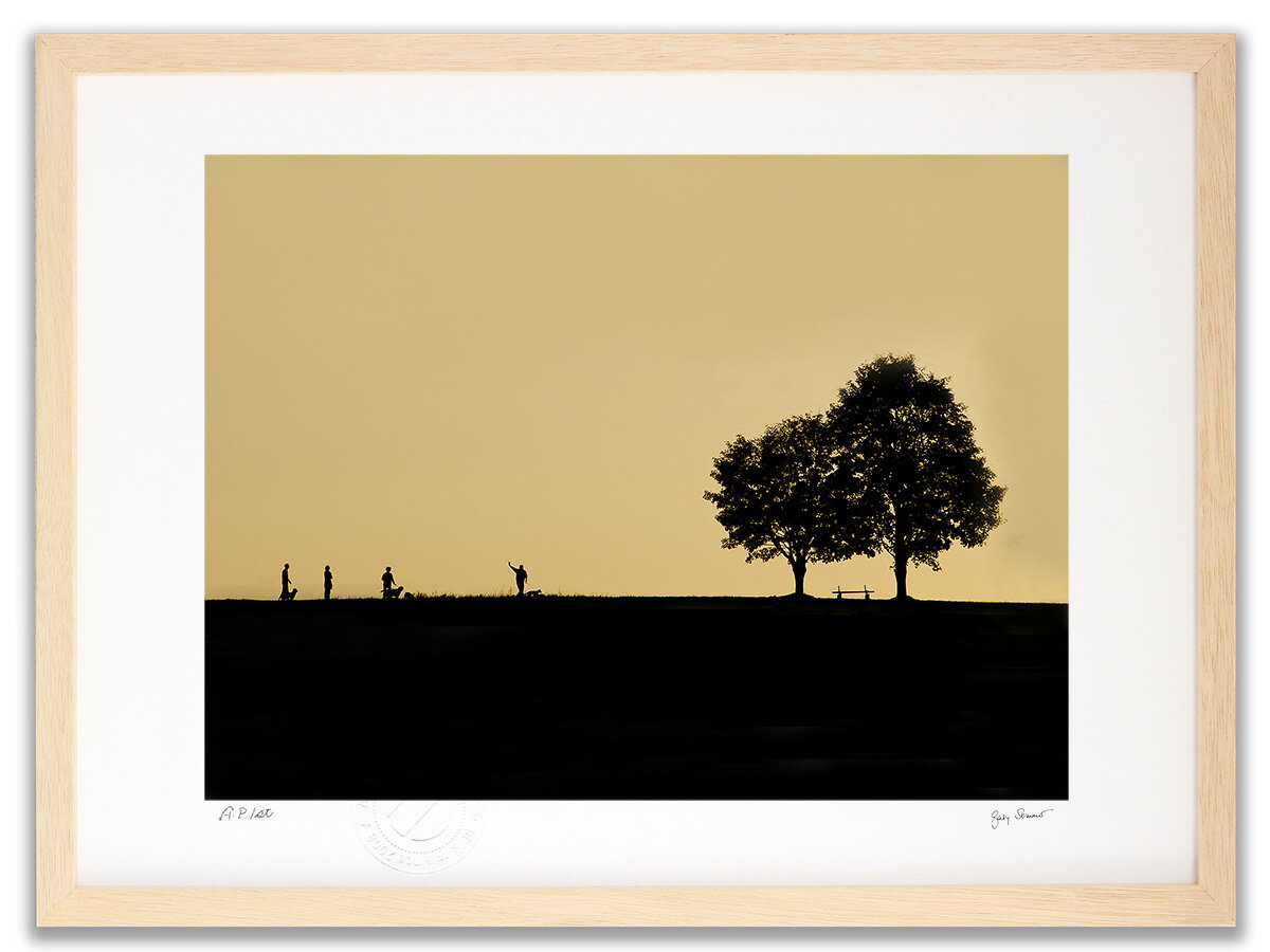 【スーパーSALE半額】アートフォト 絵画 壁掛け 犬の天国(Dogsheaven 2012)/インテリア 壁掛け 額入り 額装込 風景画 油絵 ポスター アー...