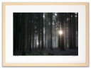 最大100%ポイントバック!限定抽選 アートフォト 絵画 壁掛け 11月の森(November Forest 2011)/インテリア 壁掛け 額入り 額装込 風...