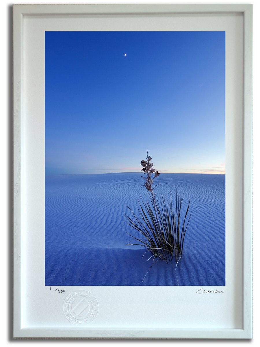 【スーパーSALE半額】版画 絵画 黄昏のホワイトサンズ(スミコ スコット)/インテリア 額入り 額装込 風景画 油絵 ポスター アート アートパネル リビング...