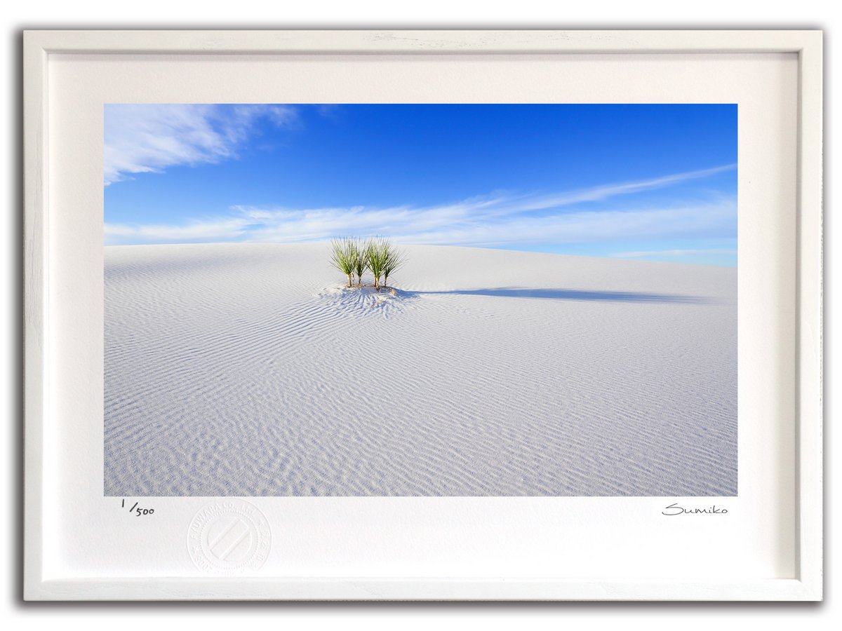 【スーパーSALE半額】版画 絵画 白い砂漠、ホワイトサンズ国定公園(スミコ スコット)/インテリア 額入り 額装込 風景画 油絵 ポスター アート アートパネ...