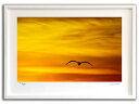最大100%ポイントバック!限定抽選 版画 絵画 夕日とカモメ(スミコ スコット)/インテリア 額入り 額装込 風景画 油絵 ポスター アート アートパネル リ...