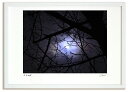 最大100%ポイントバック!限定抽選 アートフォト 絵画 冬のおぼろ月夜と桜の枝/インテリア 額入り 額装込 風景画 油絵 ポスター アート アートパネル リビ...
