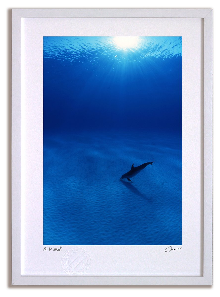 【スーパーSALE半額】アートフォト 絵画 Dolphin's KISS/インテリア 額入り 額装込 風景画 油絵 ポスター アート アートパネル リビング 玄...