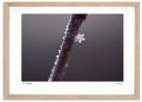 最大100%ポイントバック!限定抽選 アートフォト 絵画 雪の結晶1 高橋真澄/インテリア 額入り 額装込 風景画 油絵 ポスター アート アートパネル リビン...
