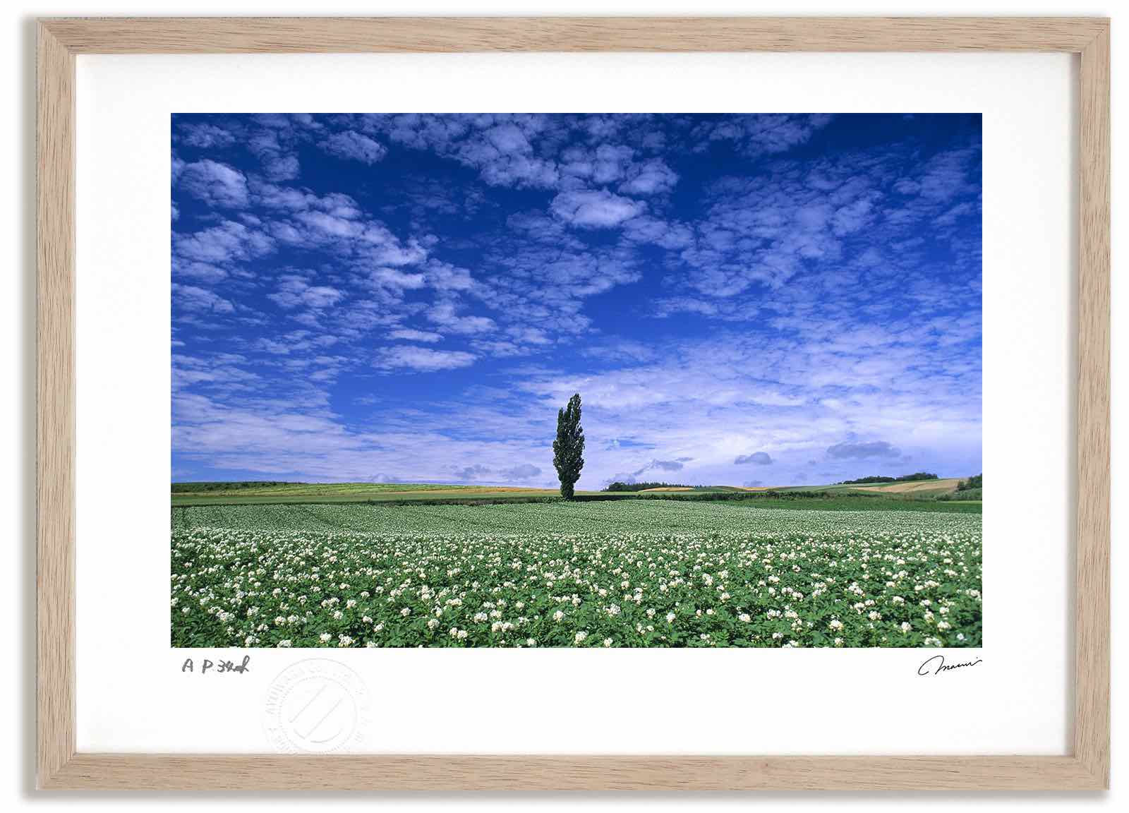 【スーパーSALE半額】アートフォト 絵画 ベスト ポプラとジャガイモ 高橋真澄/インテリア 額入り 額装込 風景画 油絵 ポスター アート アートパネル リビ...