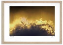 【抽選ポイント100%バック】アートフォト 絵画 雪の結晶2 高橋真澄/インテリア 額入り 額装込 風景画 油絵 ポスター アート アートパネル リビング 玄関...