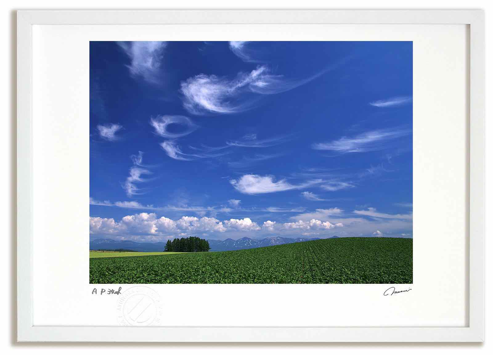 【スーパーSALE半額】アートフォト 絵画 ベスト 青空と雲 高橋真澄/インテリア 額入り 額装込 風景画 油絵 ポスター アート アートパネル リビング 玄関...