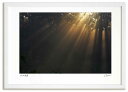 最大100%ポイントバック!限定抽選 アートフォト 絵画 光芒2 高橋真澄/インテリア 額入り 額装込 風景画 油絵 ポスター アート アートパネル リビング ...