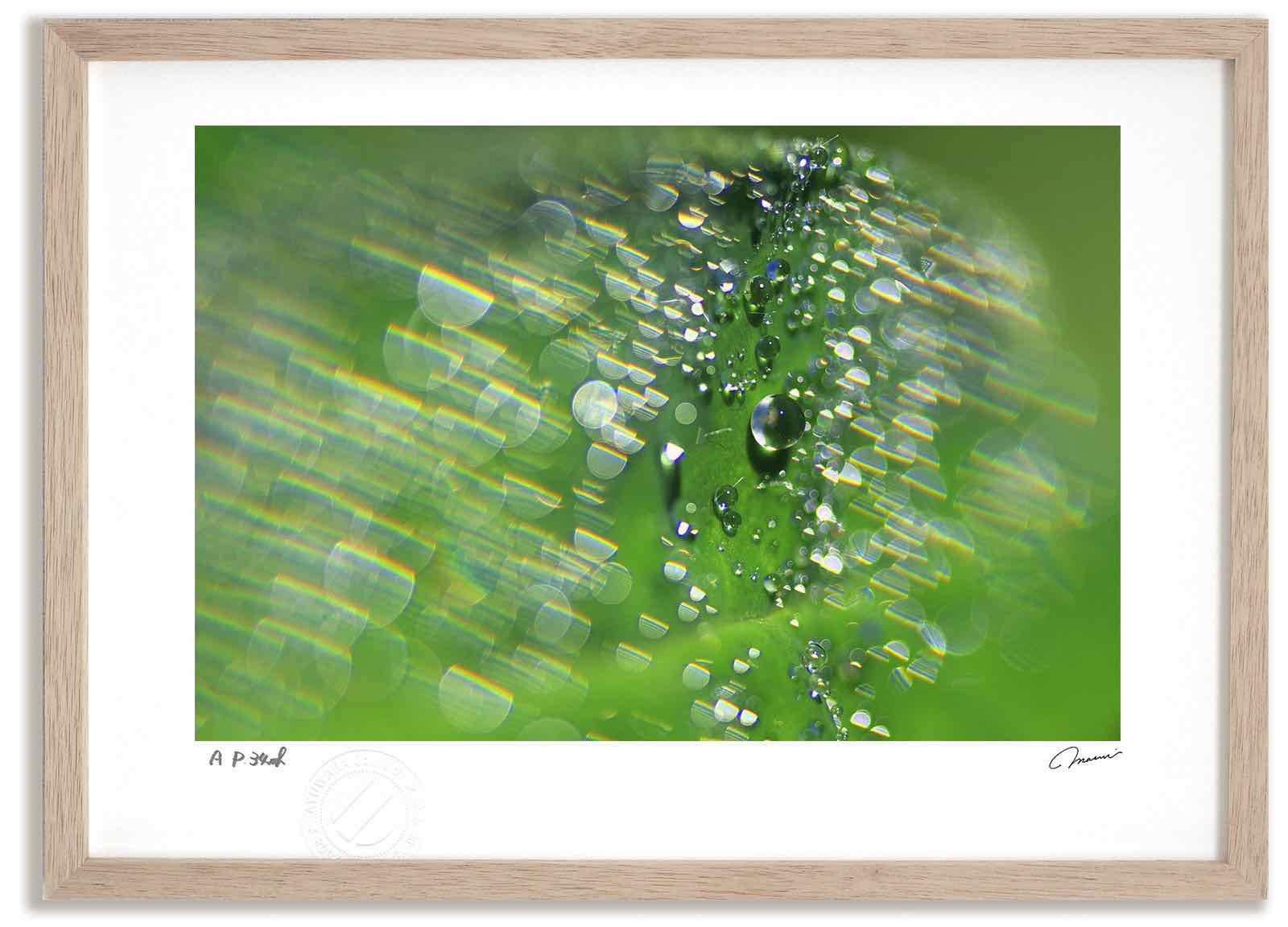 【スーパーSALE半額】アートフォト 絵画 水滴2 高橋真澄/インテリア 額入り 額装込 風景画 油絵 ポスター アート アートパネル リビング 玄関 プレゼン...